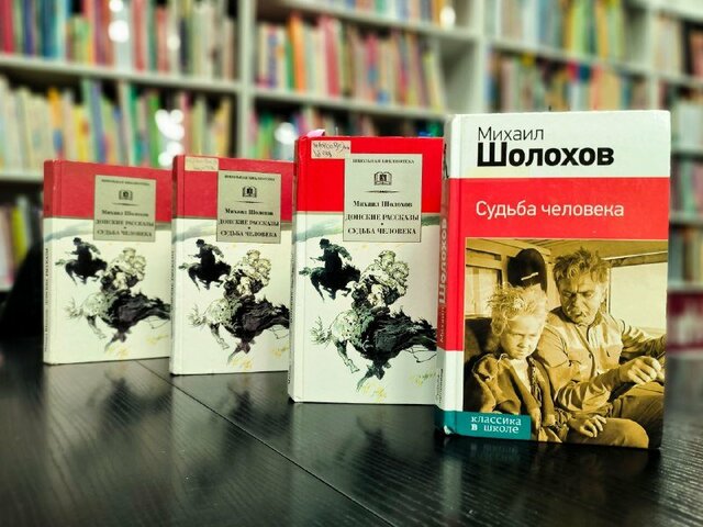 Литературный час «Рассказ о мужестве и чести» (по рассказу М.А. Шолохова «Судьба человека») 