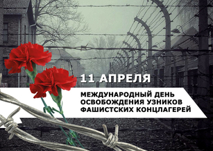 Видеопрограмма, посвященная международному дню освобождения узников фашистских концлагерей (12+)