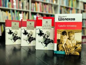 Литературный час &laquo;Рассказ о мужестве и чести&raquo; (по рассказу М.А. Шолохова &laquo;Судьба человека&raquo;) 